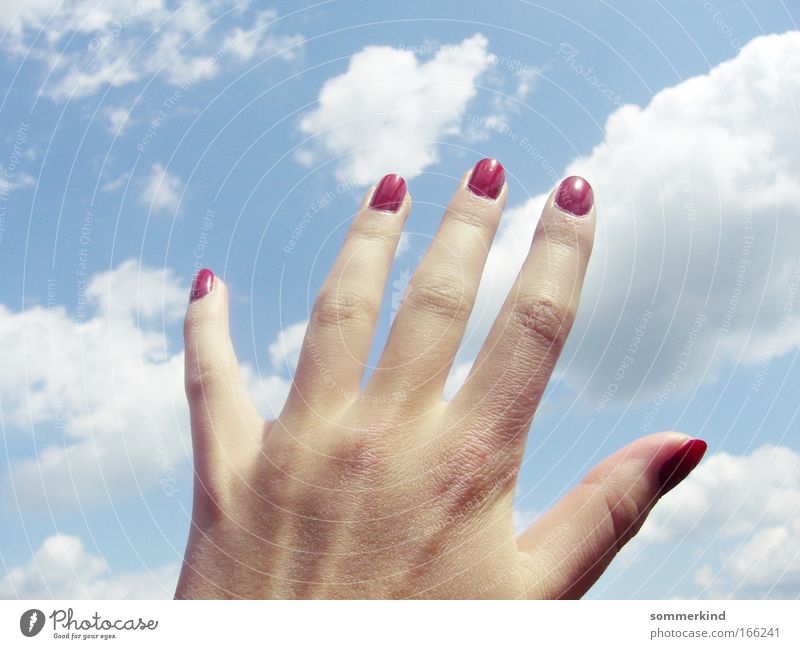 Nach den Wolken greifen Manicure Nail polish Freedom Summer Sun Feminine Hand Fingers Nature Sky Clouds Sunlight Beautiful weather Absorbent cotton Touch