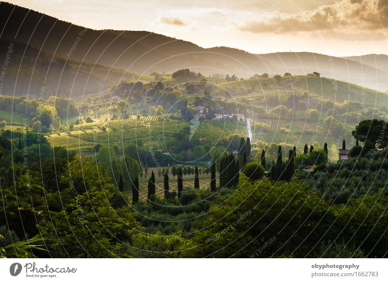 Tuscany Light an Mist Italian Food Relaxation Meditation Vacation & Travel Trip Sightseeing City trip Cycling tour Summer vacation Landscape Beautiful weather
