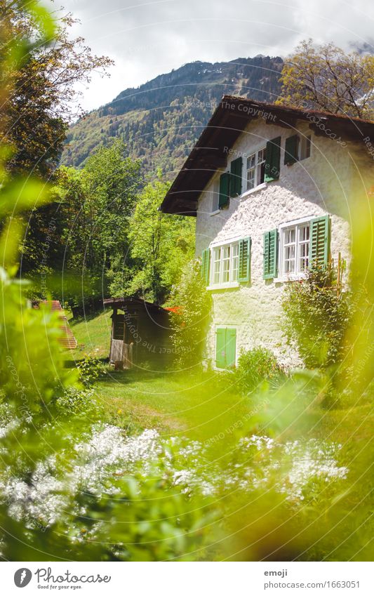 house Living or residing Flat (apartment) House (Residential Structure) Garden Environment Nature Landscape Summer Beautiful weather Natural Green Rural Idyll