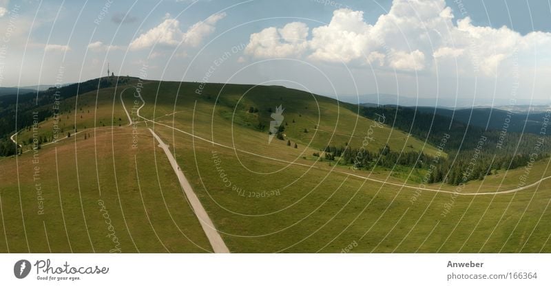 Black Forest Roof - Feldberg from the Seebuck Colour photo Exterior shot Deserted Copy Space bottom Day Sunlight Bird's-eye view Panorama (View) Wide angle