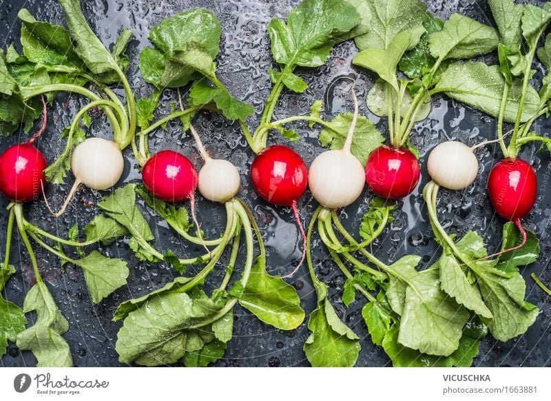 Organic radish from the garden Food Vegetable Nutrition Organic produce Vegetarian diet Diet Style Design Healthy Eating Life Summer Garden Table Nature