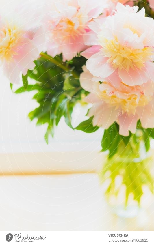 Beautiful pastel peonies in glass vase Lifestyle Style Living or residing Flat (apartment) Interior design Decoration Feasts & Celebrations Nature Plant Flower