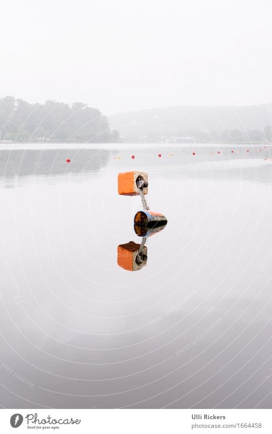 mirroring Rowing Nature Summer Forest Hill Lake River Stone Swimming & Bathing Float in the water Water Orange Colour photo Exterior shot Copy Space top