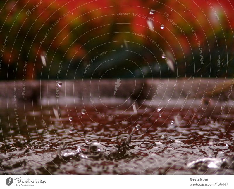 water feature Water Drops of water Brown Red Sadness Esthetic Movement Uniqueness Pure Surface structure Colour photo Exterior shot Detail