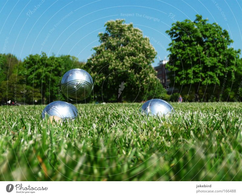A park Leisure and hobbies Playing Garden Boules Sky Cloudless sky Sunlight Beautiful weather Tree Grass Park Meadow Metal Sphere Movement Relaxation Flying