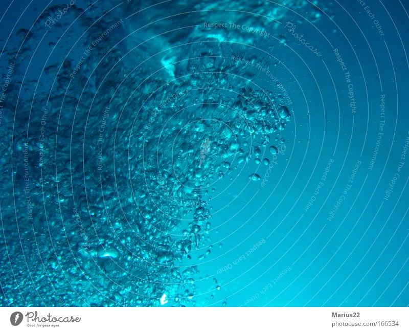 air bubbles Colour photo Underwater photo Abstract Pattern Structures and shapes Copy Space right Dive Air Ocean Water blister Blue Green Go up Climber