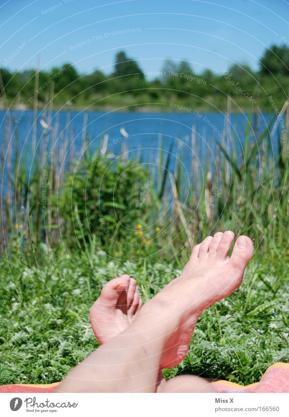 At the lake Colour photo Exterior shot Copy Space top Sunlight Relaxation Calm Summer Sunbathing Island Legs Feet Landscape Water Beautiful weather Park Meadow