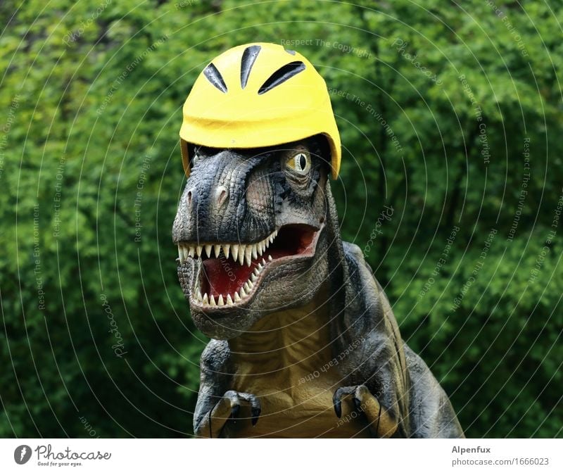 Only with helmet ! Virgin forest Animal tyrannosaurus rex 1 Observe To feed Aggression Threat Funny Safety Fear Adventure Helmet bicycle helmet Set of teeth