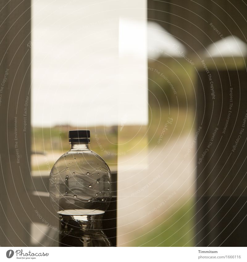 Water does, of course. Beverage Mineral water Vacation & Travel Nature Denmark Vacation home Window Simple Green Relaxation Deposit bottle Double exposure