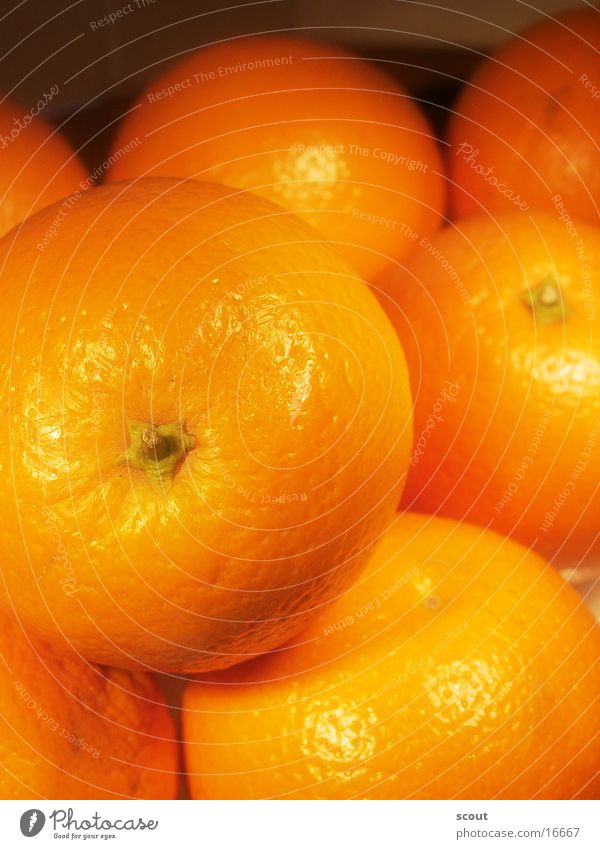 orange Healthy Orange Fruit