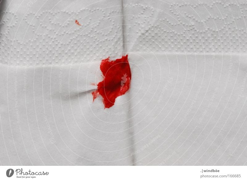 Blood group A Colour photo Close-up Deserted Day Fluid Fresh Wet Life Handkerchief blood type Warm-heartedness Red White Pain Force Exceptional