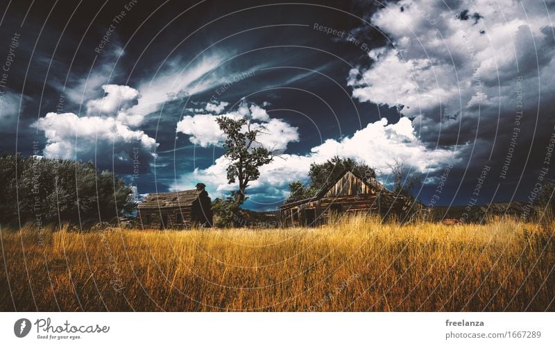 Stormy hut Landscape Sky Clouds Storm clouds Autumn Grass Meadow Field Deserted Hut Roof Wood Blue Brown Yellow Gold Adventure Tree Colour photo Exterior shot