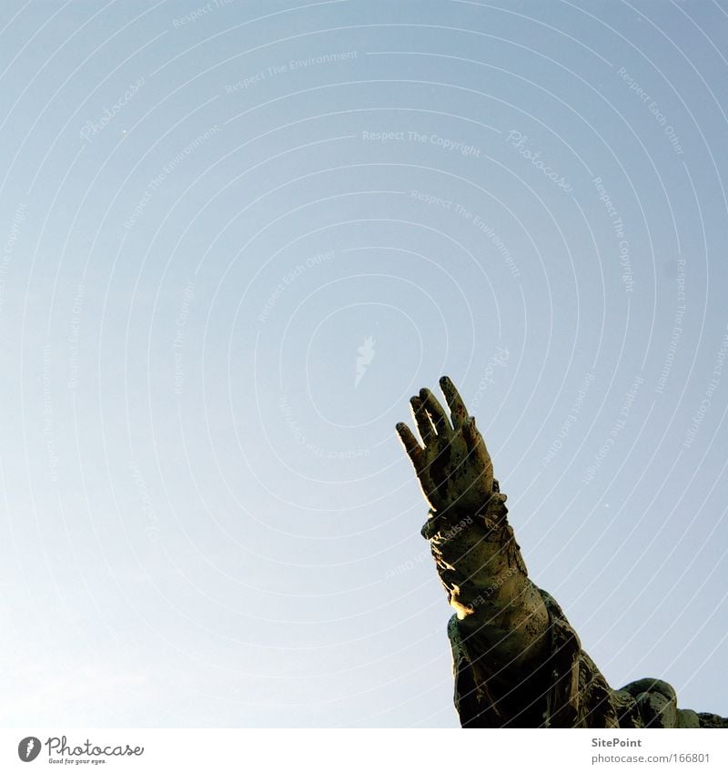 hand Colour photo Exterior shot Detail Neutral Background Day Contrast Silhouette Worm's-eye view Arm Hand Sky Cloudless sky Beautiful weather Marketplace