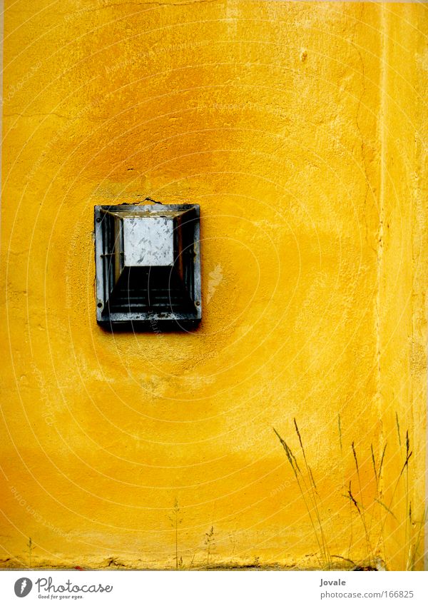 Splendid yellow wall with metaldings and tender spring grass Colour photo Exterior shot Detail Deserted Copy Space right Copy Space top Copy Space bottom Day