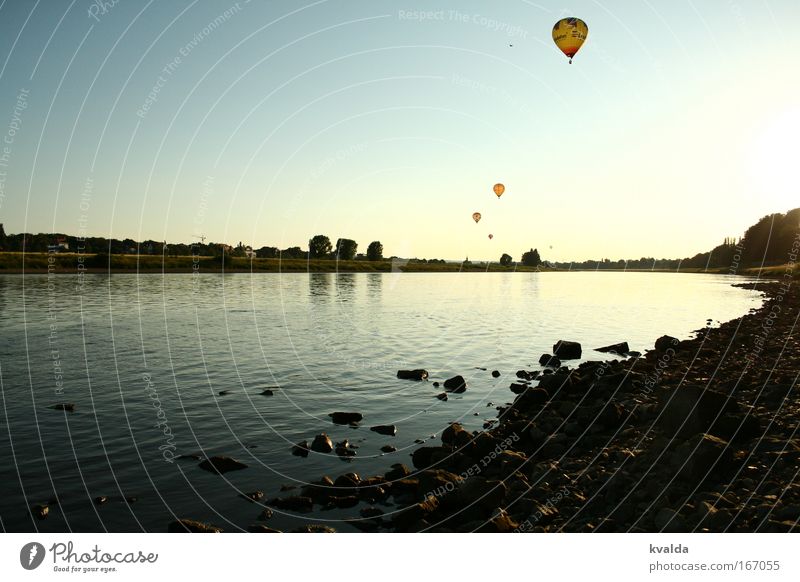 fly away Colour photo Exterior shot Deserted Evening Central perspective Relaxation Calm Trip Freedom Summer Environment Nature Landscape Water Horizon