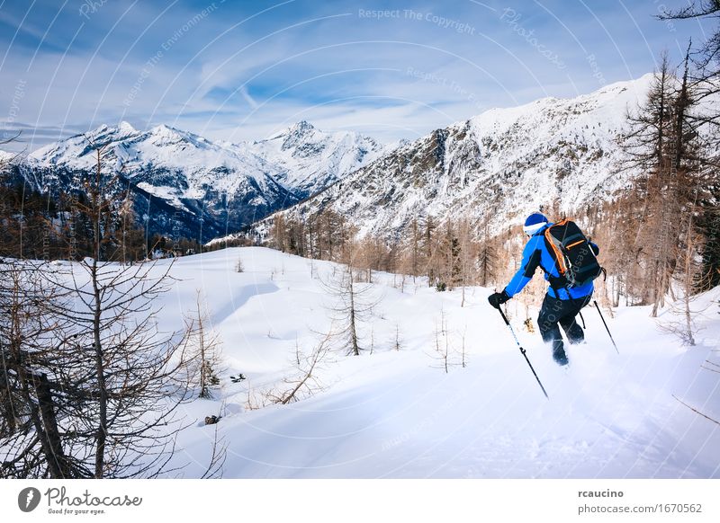 Winter sport: man skiing in powder snow. Lifestyle Joy Relaxation Vacation & Travel Tourism Adventure Snow Mountain Sports Skiing Human being Man Adults Nature