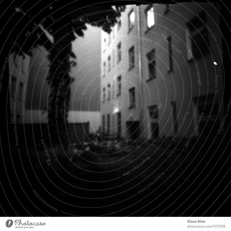 THE NOISE GOES AROUND . Black & white photo Exterior shot Experimental Deserted Copy Space bottom Shadow Silhouette Blur Elegant Listen to music New Media Tree