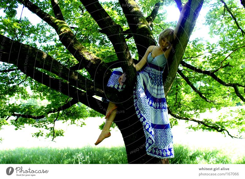 new love grows on trees. Colour photo Exterior shot Day Central perspective Downward Human being Feminine Young woman Youth (Young adults) Think Wait Emotions