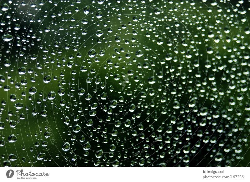 A Million Teardrops Colour photo Exterior shot Interior shot Detail Deserted Shadow Contrast Reflection Environment Nature Water Drops of water Spring Weather