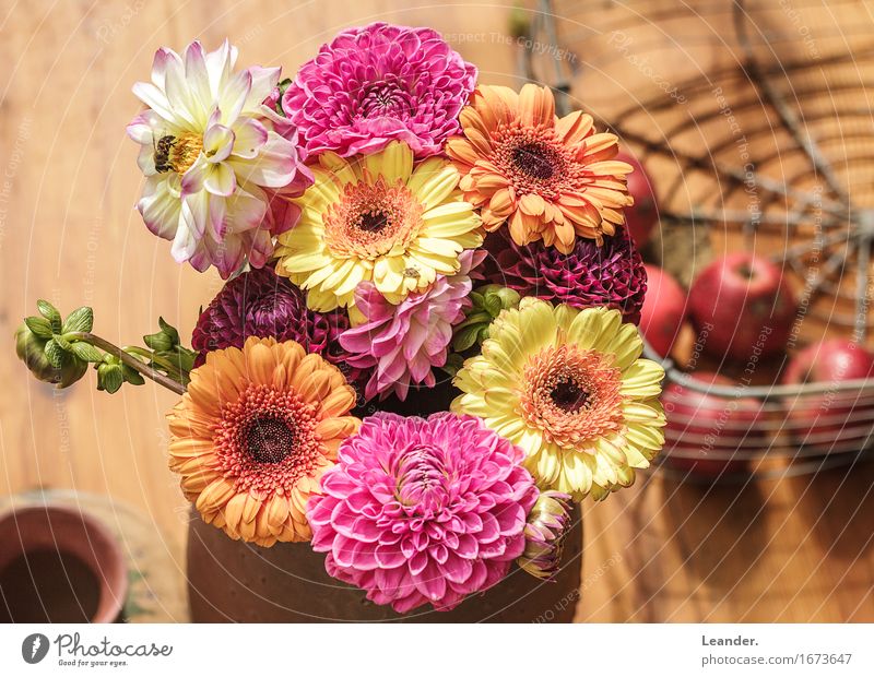Flowers on the table Lifestyle House (Residential Structure) Garden Decoration Living or residing Good Natural Multicoloured Emotions Humanity Grateful Bouquet