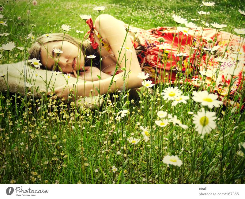recreation Colour photo Multicoloured Exterior shot Day Bolster Human being Feminine Young woman Youth (Young adults) Head Arm 1 Spring Summer Marguerite Meadow