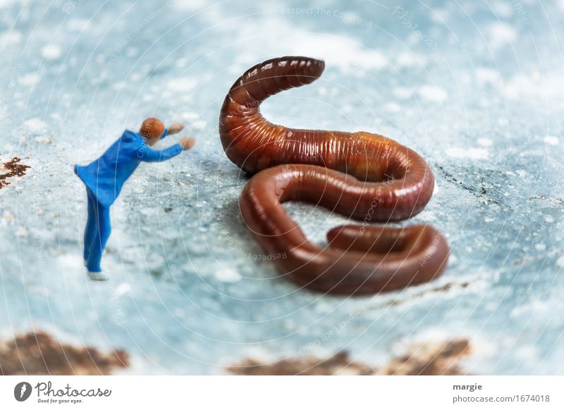 Miniwelten - The snake charmer Adventure Masculine Man Adults 1 Human being Animal Wild animal Worm Observe Blue Brown Brave Dangerous Earthworm Snake