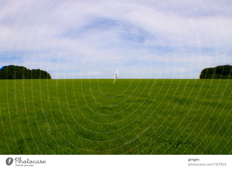 Far away (boy on a meadow in the distance) Human being Masculine 1 Landscape Sky Spring Beautiful weather Grass Bushes Meadow Freedom Divided Blue