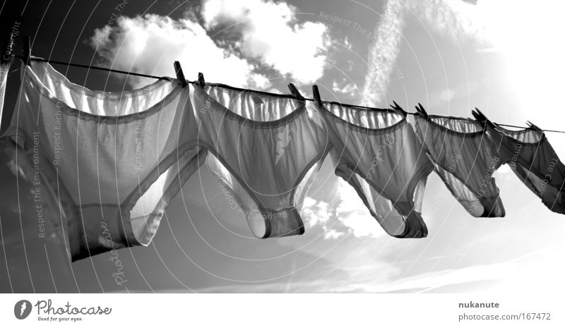 heavenly knickers XL Black & white photo Exterior shot Deserted Day Light Shadow Sunlight Sunbeam Back-light Front view Clouds Beautiful weather Clothing