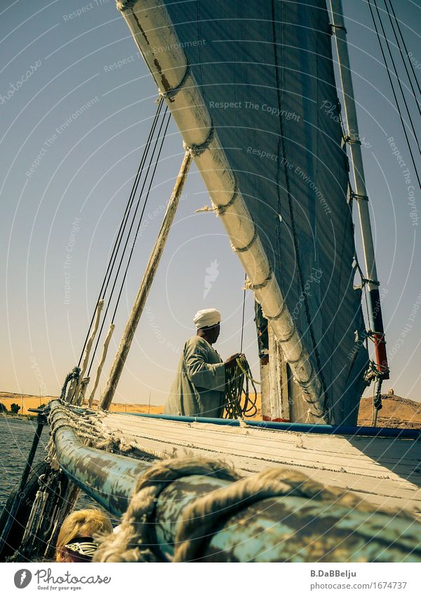 feluccas Vacation & Travel Tourism Trip Far-off places River bank Desert Old Nile Egypt Assuan Feluka Boating trip Sailing Sailboat Colour photo Exterior shot