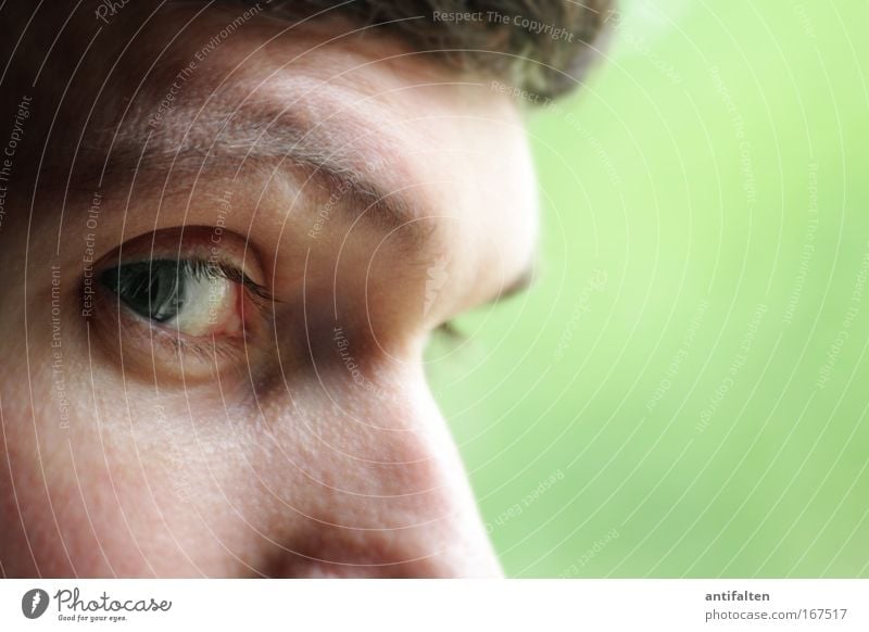 eye view Skin Face Masculine Man Adults Eyes Nose 1 Human being Observe Think Looking Natural Smart Green Curiosity Identity Colour photo Interior shot Close-up