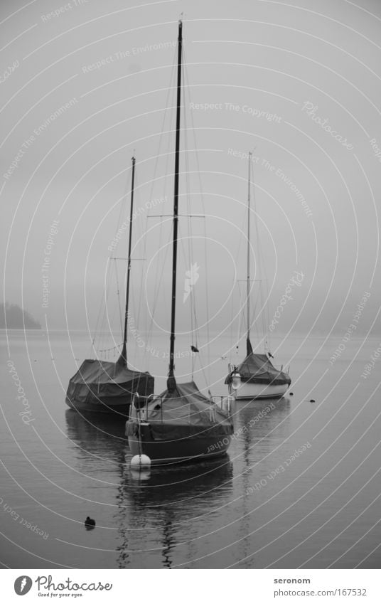 lonesome boats Black & white photo Exterior shot Morning Dawn Contrast Long shot Far-off places Freedom Sailing Emotions Moody Longing Wanderlust Hope Horizon