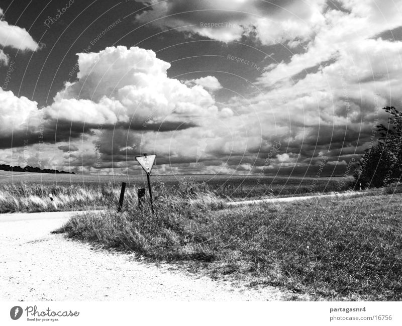 Landscape with traffic sign Clouds Meadow Road sign Black & white photo