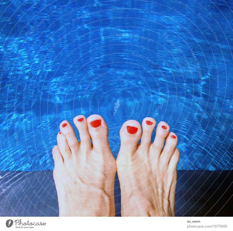 Cool at the pool Lifestyle Personal hygiene Pedicure Wellness Harmonious Relaxation Swimming pool Swimming & Bathing Summer Summer vacation Feet Toes Toenail