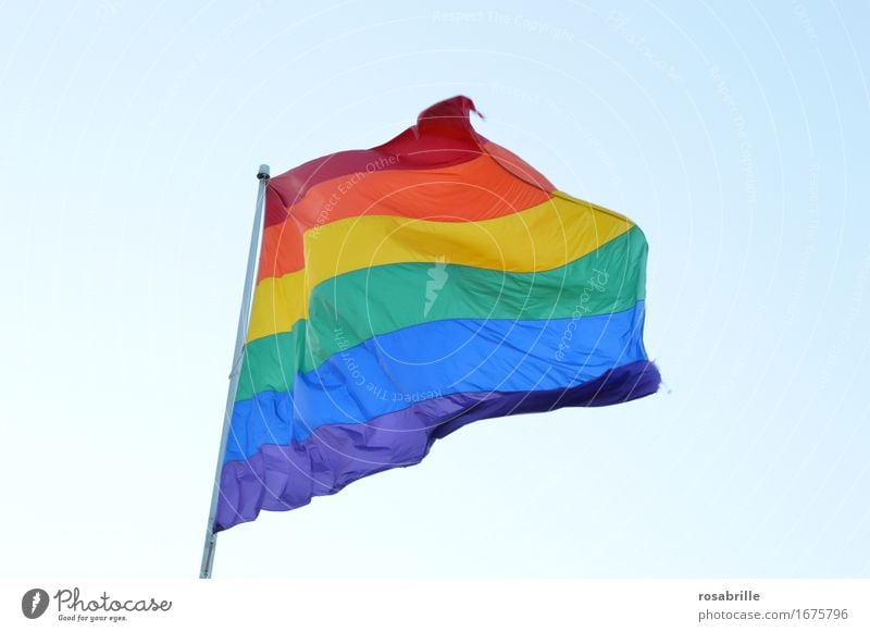 Rainbow flag as symbol of the lesbian and gay movement Homosexual Life Sign Flag Happiness Blue Multicoloured Yellow green Violet Orange Red Self-confident