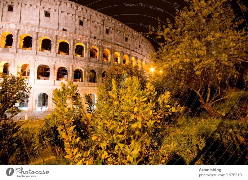 il colosseo Architecture Environment Nature Landscape Plant Tree Bushes Park Rome Italy Town Capital city House (Residential Structure) Ruin Manmade structures