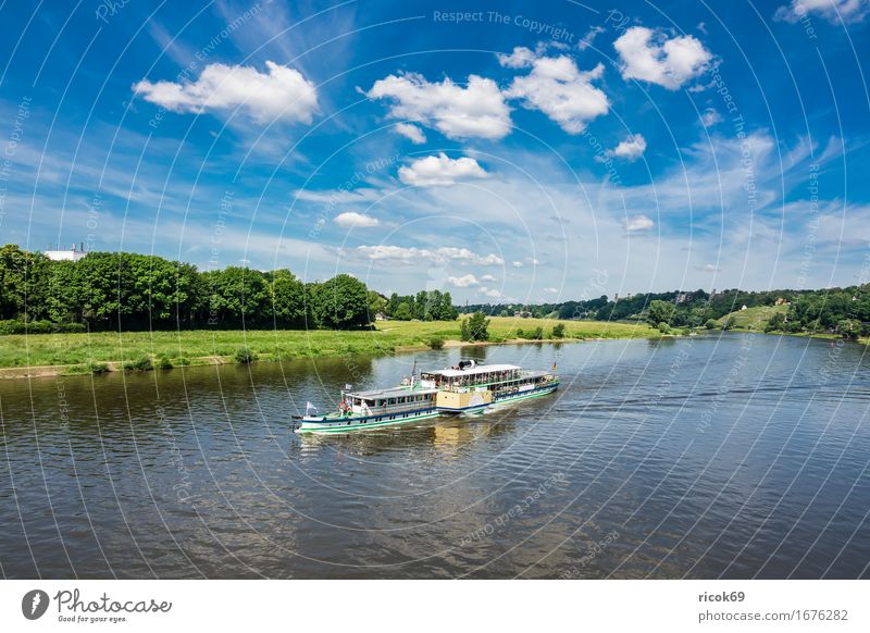 Passenger ship on the Elbe near Dresden Vacation & Travel Tourism Water Clouds Tree River Capital city Architecture Tourist Attraction Steamer Blue Green Nature