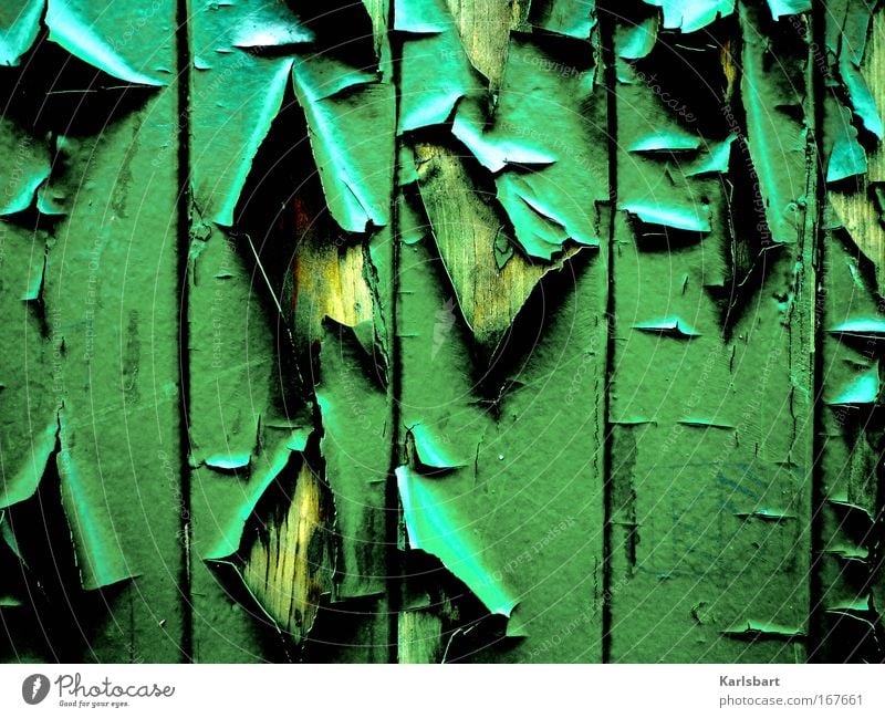 decay. and loss. Design Art Subculture Ruin Facade Varnish Wood Sign Ornament Line Old Esthetic Broken Crazy Trashy Green Aggression Chaos Apocalyptic sentiment
