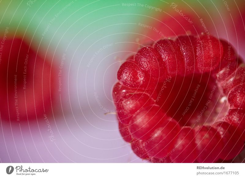 raspberry Food Fruit Nutrition Vegetarian diet Healthy Healthy Eating Lie Delicious Red Raspberry Berries Fruity Colour photo Multicoloured Interior shot Detail