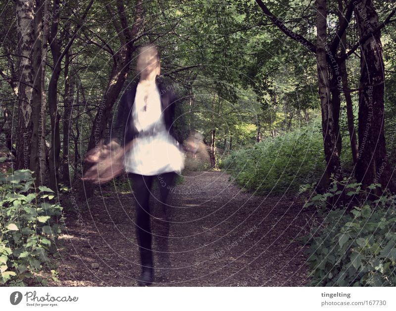 in the woods. Colour photo Subdued colour Exterior shot Copy Space right Shadow Sunlight Motion blur Feminine 1 Human being Nature Earth Tree Bushes Forest