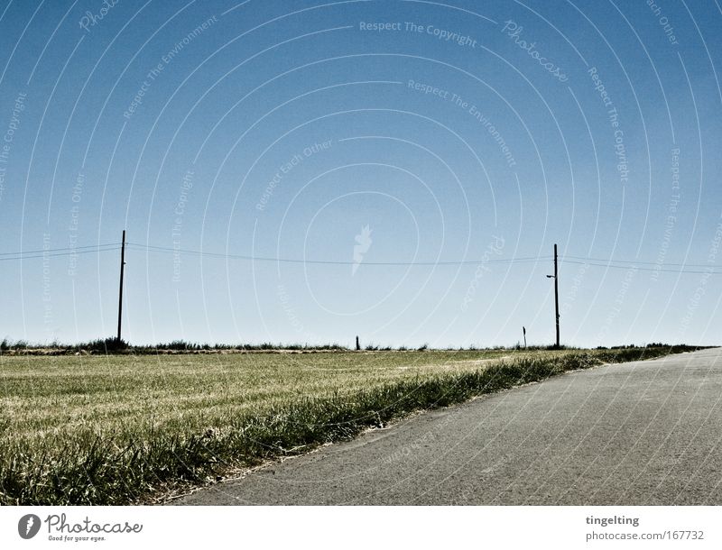 On the horizon Colour photo Subdued colour Exterior shot Copy Space top Day Nature Landscape Cloudless sky Horizon Field Traffic infrastructure Lanes & trails