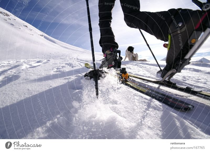 ski tour Colour photo Exterior shot Copy Space bottom Day Light Shadow Contrast Sunlight Worm's-eye view Leisure and hobbies Winter Winter vacation Mountain
