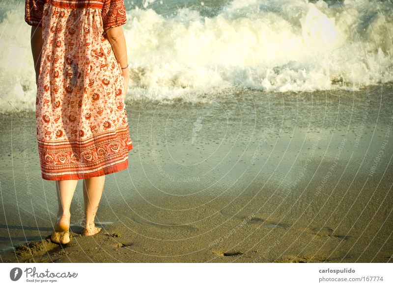 Colour photo Exterior shot Dawn Looking back Feminine Woman Adults Legs Waves Coast Beach Exotic Peace Ocean Sand