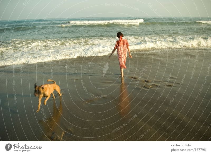 Colour photo Exterior shot Feminine Woman Adults 1 Human being Nature Beach Waves Mediterranean Andalucia Marbella Spain