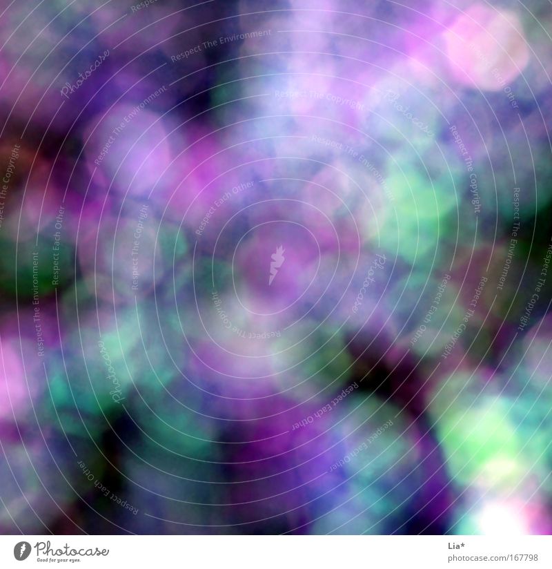 The scent of purple and turquoise ... Summer Multicoloured Violet Sadness Dream Playing Patch Glare effect Lens flare Dazzle Aperture Intoxication Mystic Magic