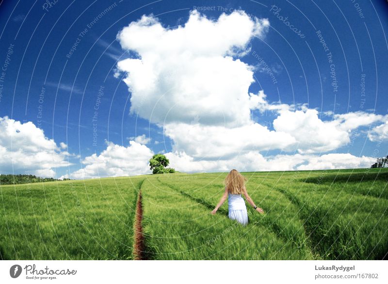 beyond the horizon Happy Human being Feminine Young woman Youth (Young adults) Woman Adults Hair and hairstyles 1 18 - 30 years Environment Nature Landscape Sky