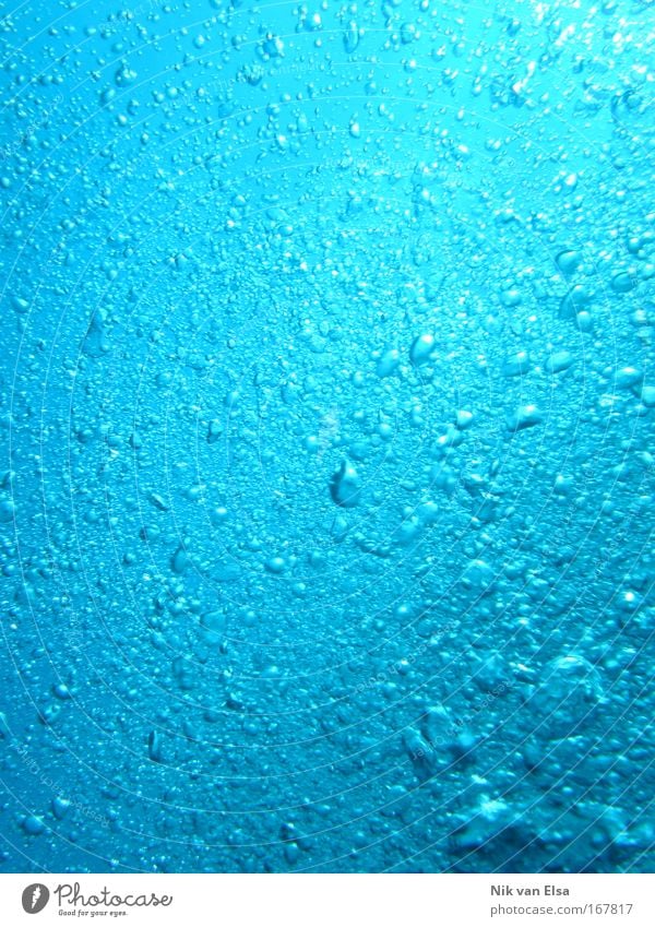 deep blue sea Colour photo Exterior shot Underwater photo Abstract Pattern Structures and shapes Day Dive Nature Elements Air Water Ocean Blue Water blister
