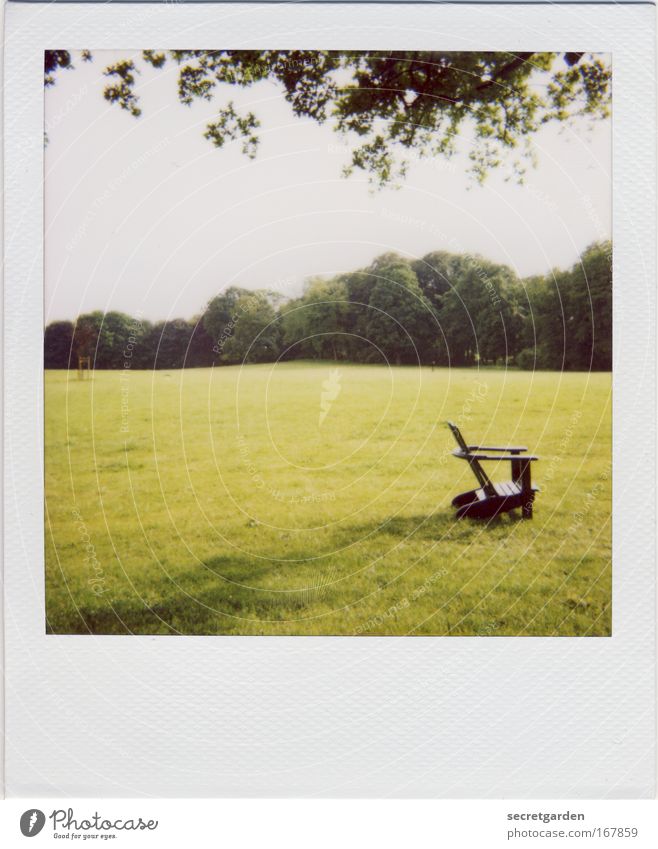 [HH09.3/4] five meters in front of the chair in the grass Colour photo Subdued colour Exterior shot Polaroid Deserted Copy Space left Copy Space bottom
