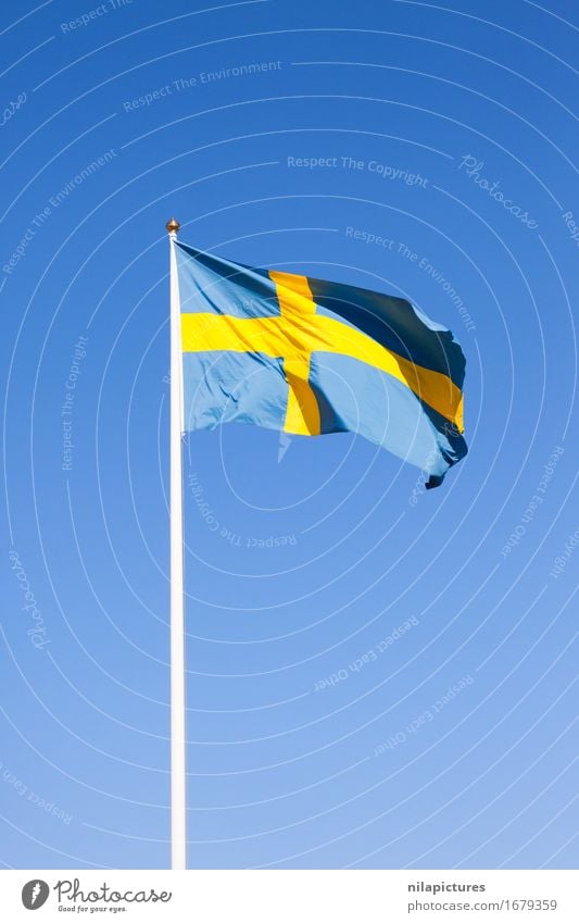 Swedish flag Lifestyle Vacation & Travel Tourism Trip Freedom Sightseeing City trip Summer Summer vacation Sun Wind Town Capital city Downtown Populated