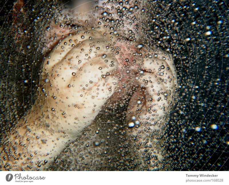 embryo Underwater photo Whirlpool Swimming & Bathing Swimming pool Child Human being Baby Infancy Head Water Pregnant Emotions Happy Anticipation Pride