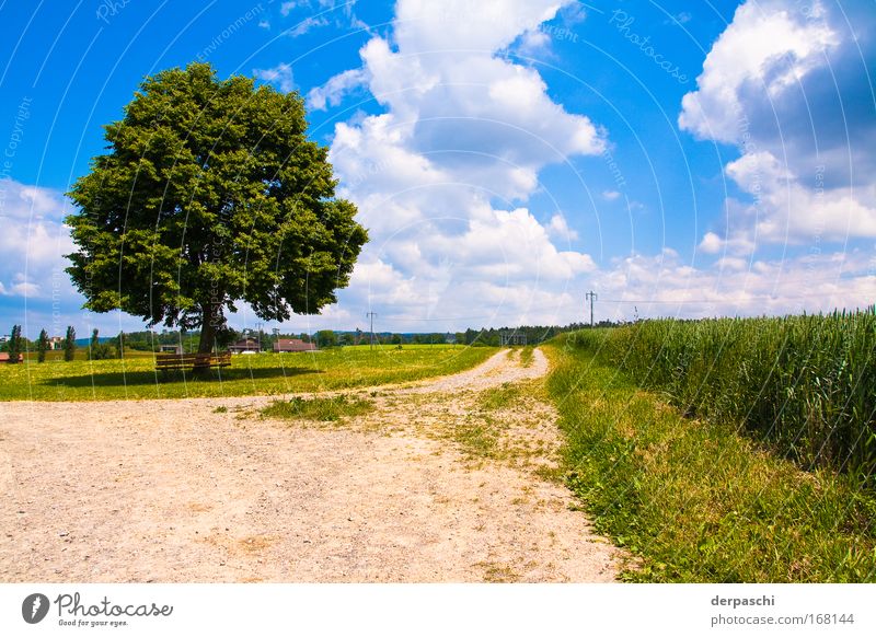 break? Colour photo Exterior shot Deserted Day Shadow Contrast Sunlight Wide angle Calm Summer Nature Landscape Sky Clouds Beautiful weather Tree Grass